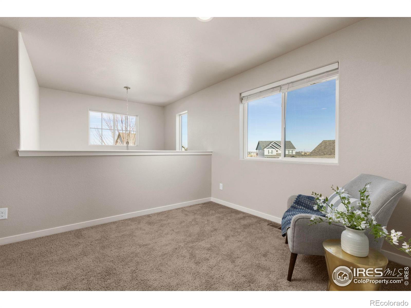 MLS Image #22 for 1223  chilcott street,berthoud, Colorado
