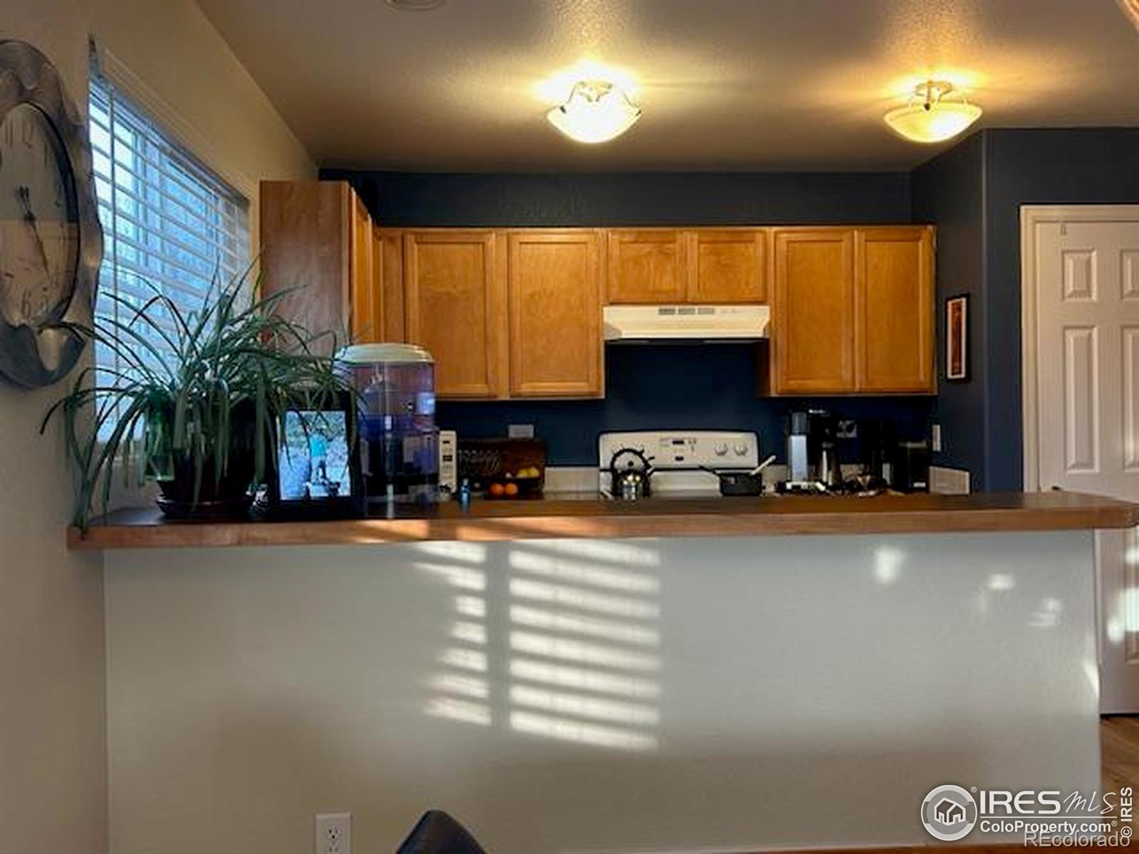 MLS Image #12 for 1710  85th avenue,greeley, Colorado