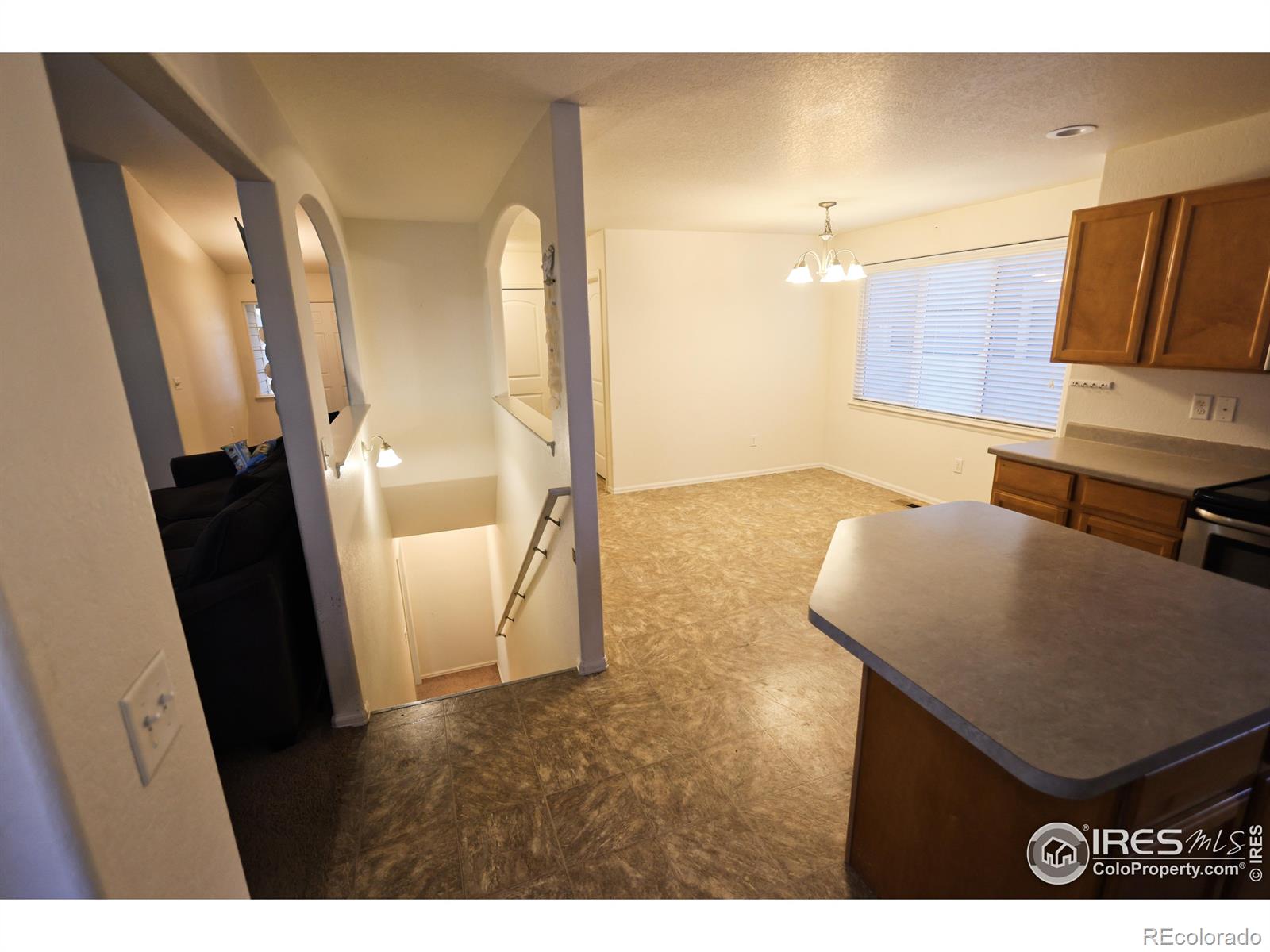 MLS Image #15 for 542  cherryridge drive,windsor, Colorado