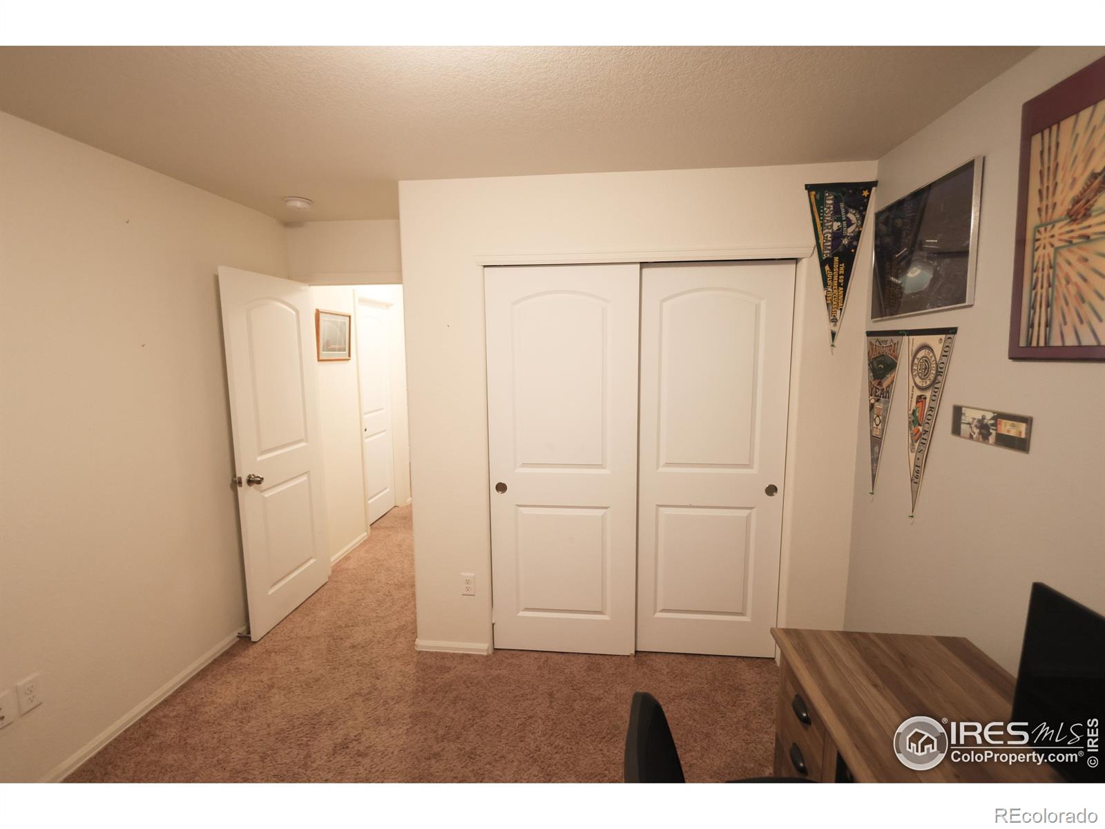 MLS Image #27 for 542  cherryridge drive,windsor, Colorado