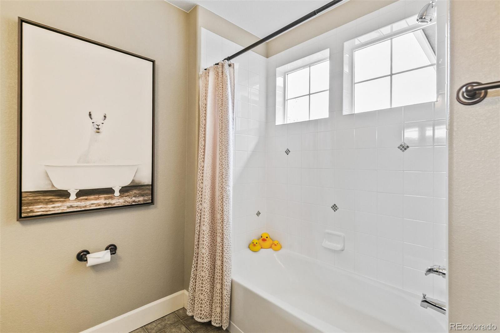 MLS Image #21 for 8797  gardenia circle,arvada, Colorado
