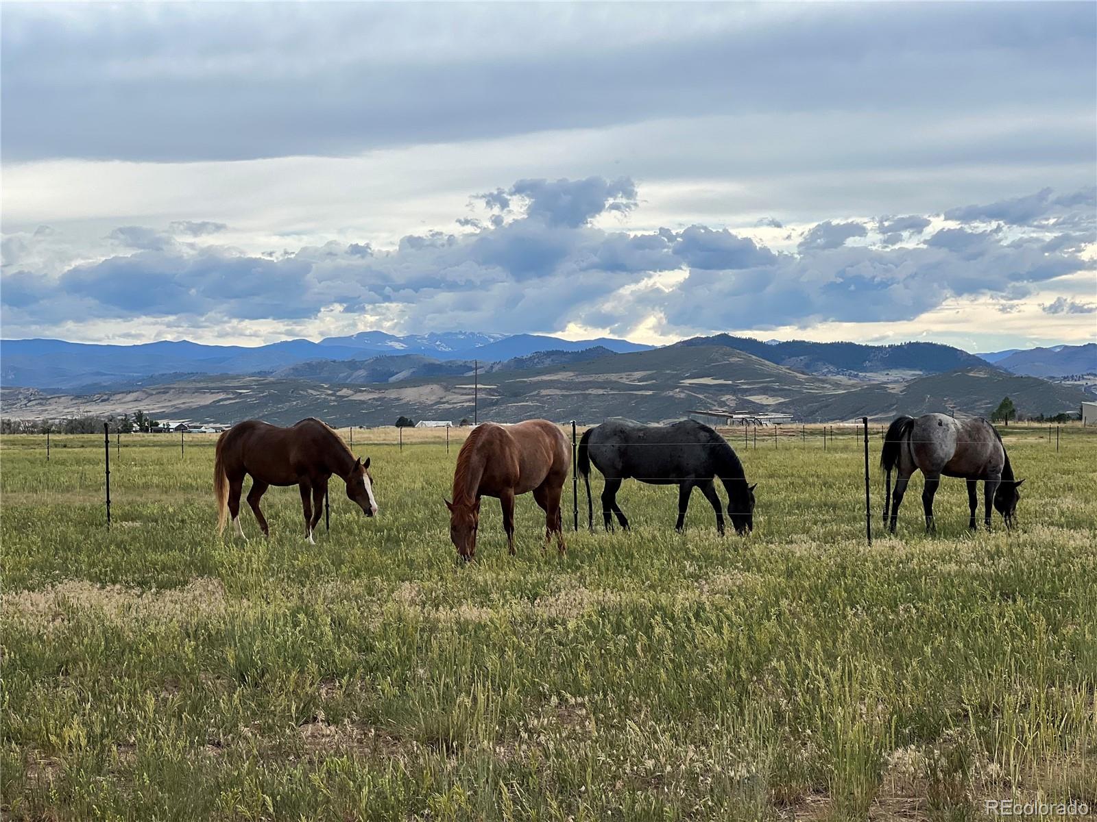 MLS Image #45 for 612 w county road 74 ,wellington, Colorado