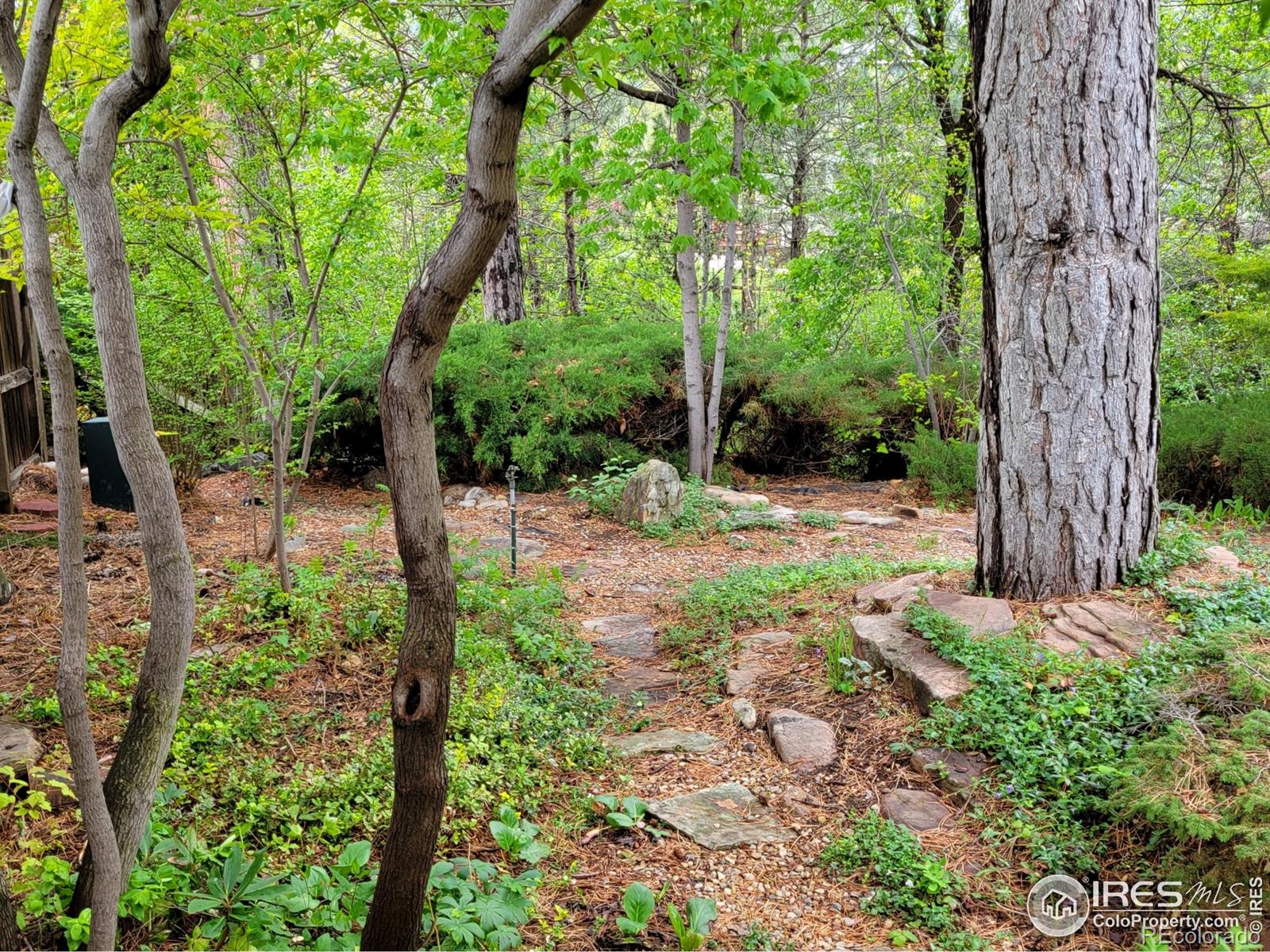 MLS Image #40 for 4311  pali way,boulder, Colorado