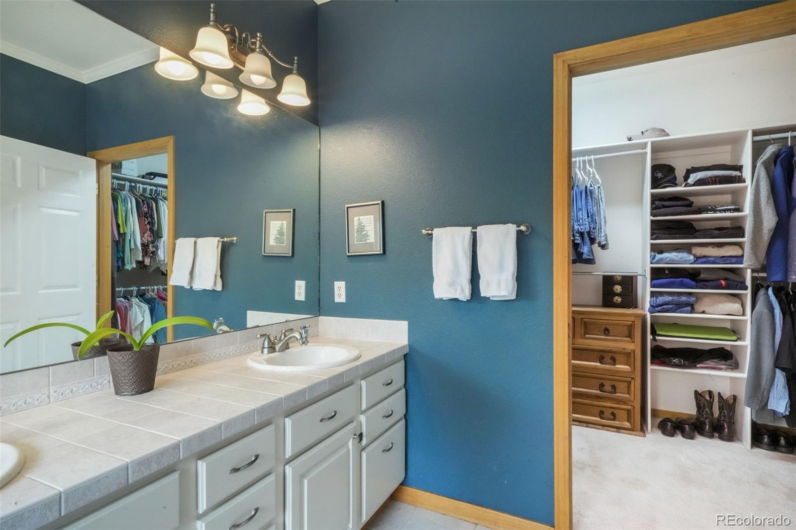 MLS Image #22 for 1590  longview circle,monument, Colorado