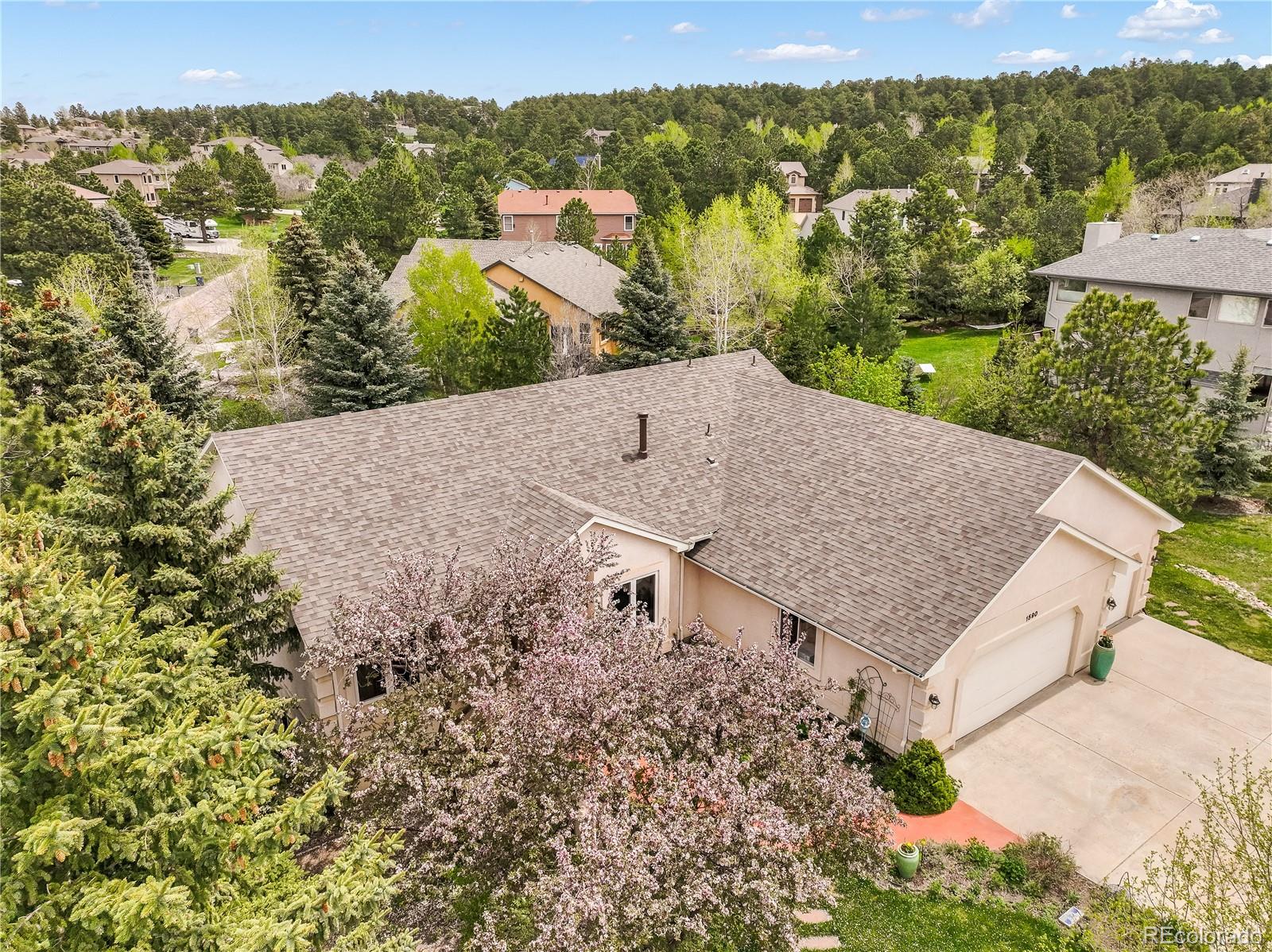 MLS Image #46 for 1590  longview circle,monument, Colorado