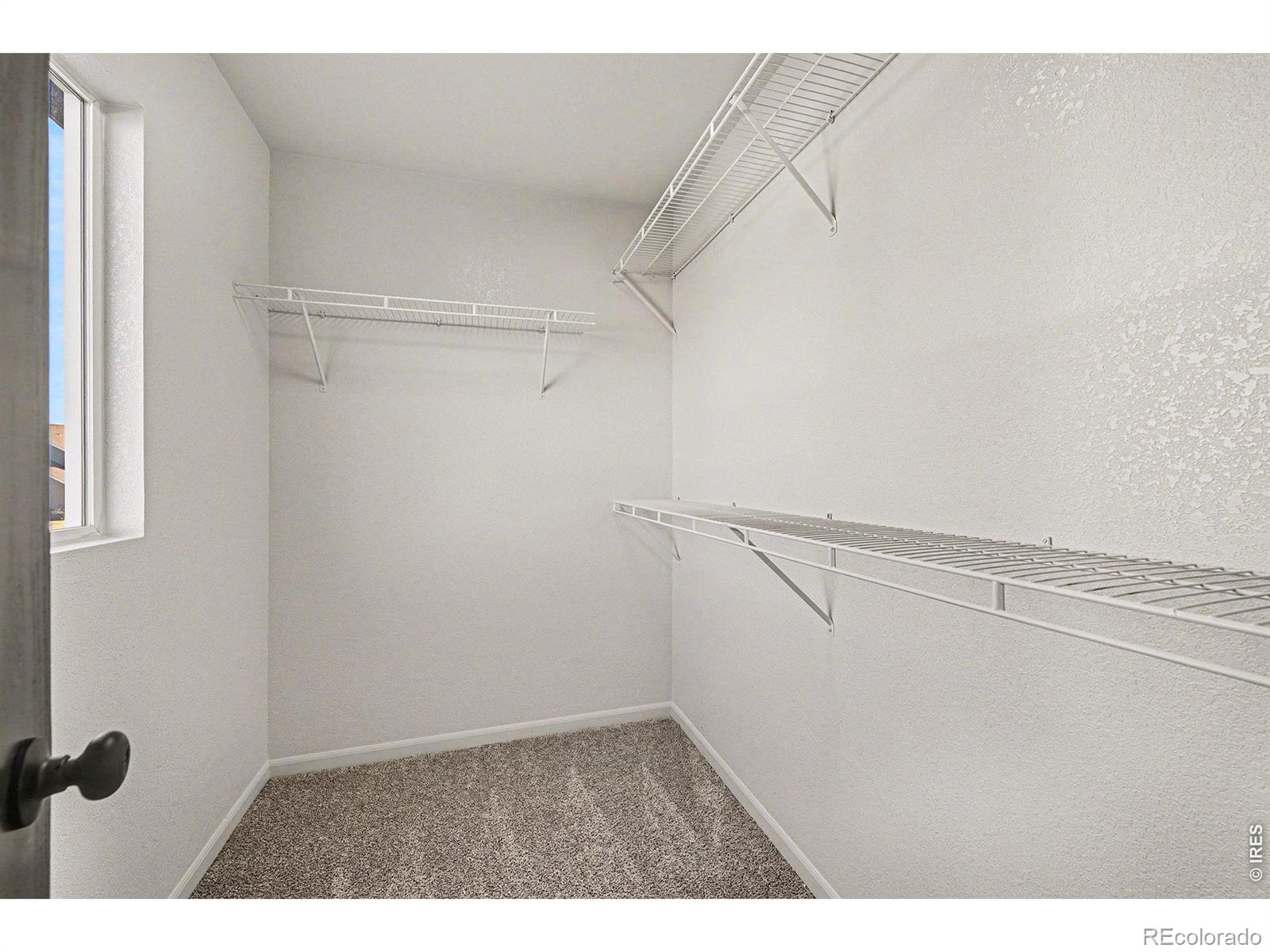 MLS Image #13 for 147  crabapple drive,windsor, Colorado