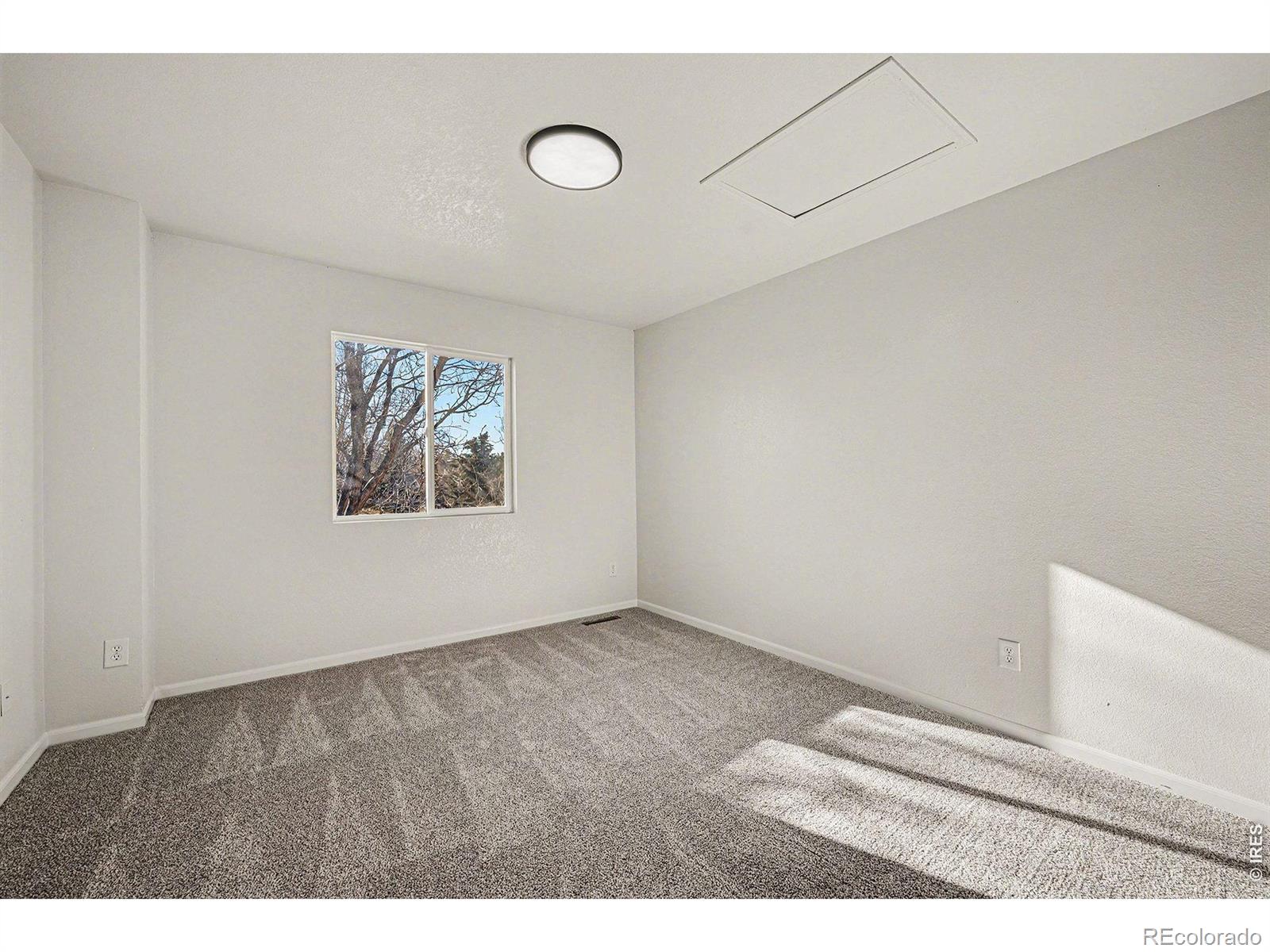 MLS Image #15 for 147  crabapple drive,windsor, Colorado