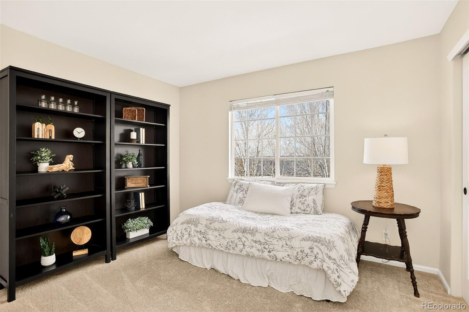 MLS Image #24 for 15689  greenstone lane,parker, Colorado