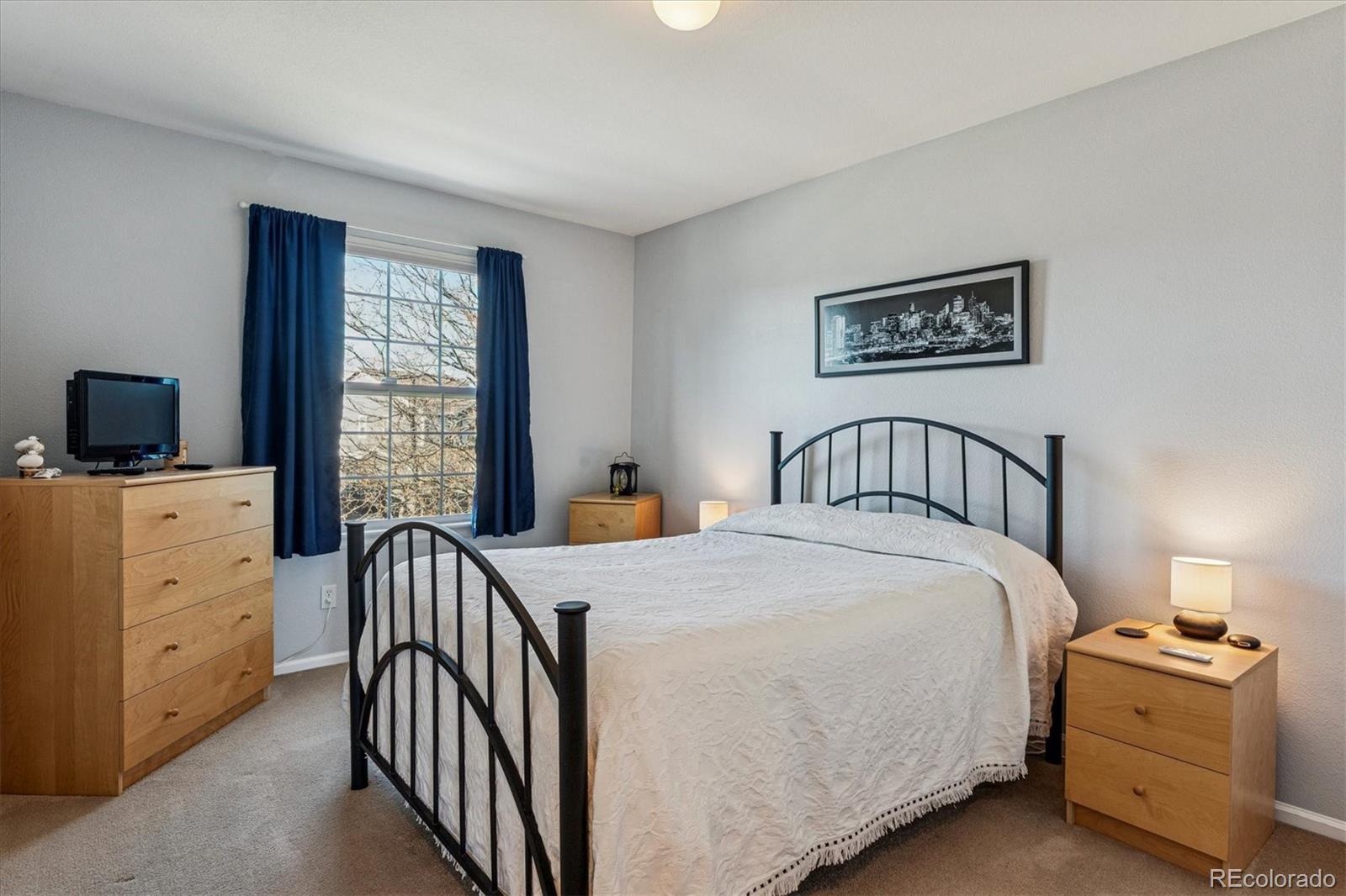 MLS Image #14 for 1004  riddlewood road,highlands ranch, Colorado