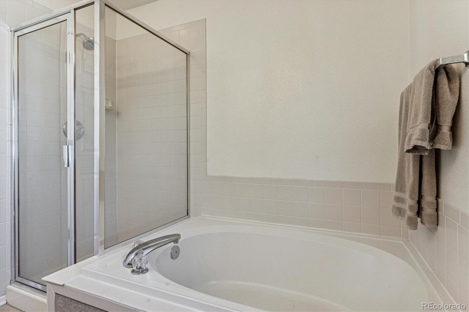 MLS Image #19 for 1004  riddlewood road,highlands ranch, Colorado