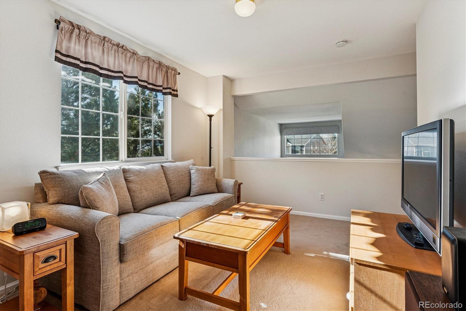 MLS Image #21 for 1004  riddlewood road,highlands ranch, Colorado