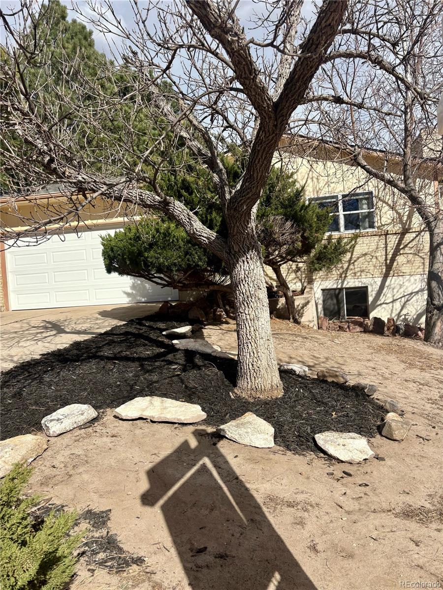 MLS Image #1 for 5559  descanso circle,colorado springs, Colorado