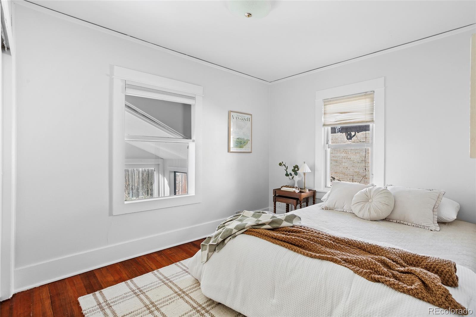 MLS Image #18 for 323 s race street,denver, Colorado