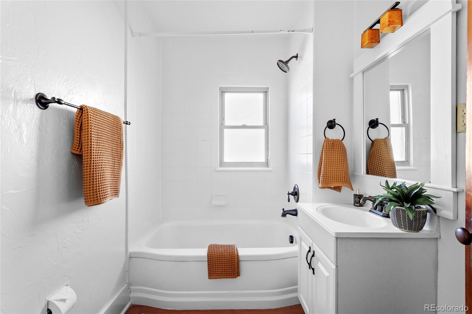MLS Image #19 for 323 s race street,denver, Colorado