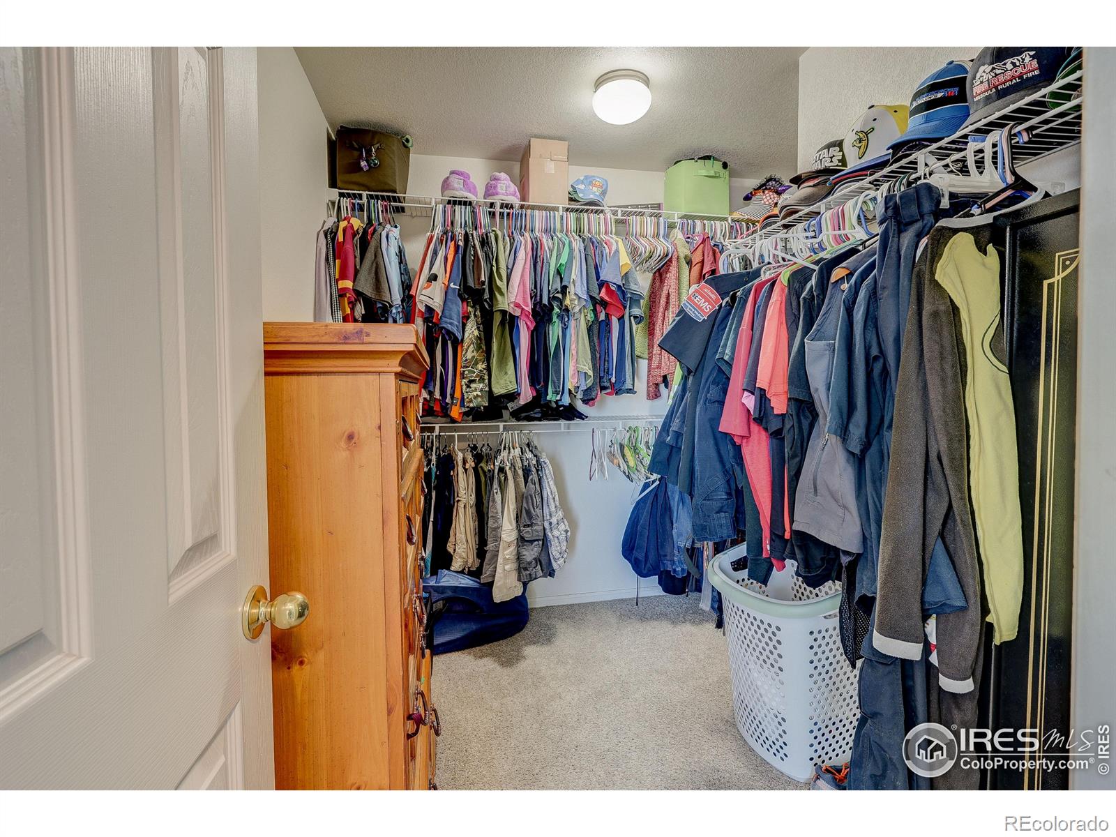 MLS Image #30 for 2134  sandhill crane circle,loveland, Colorado