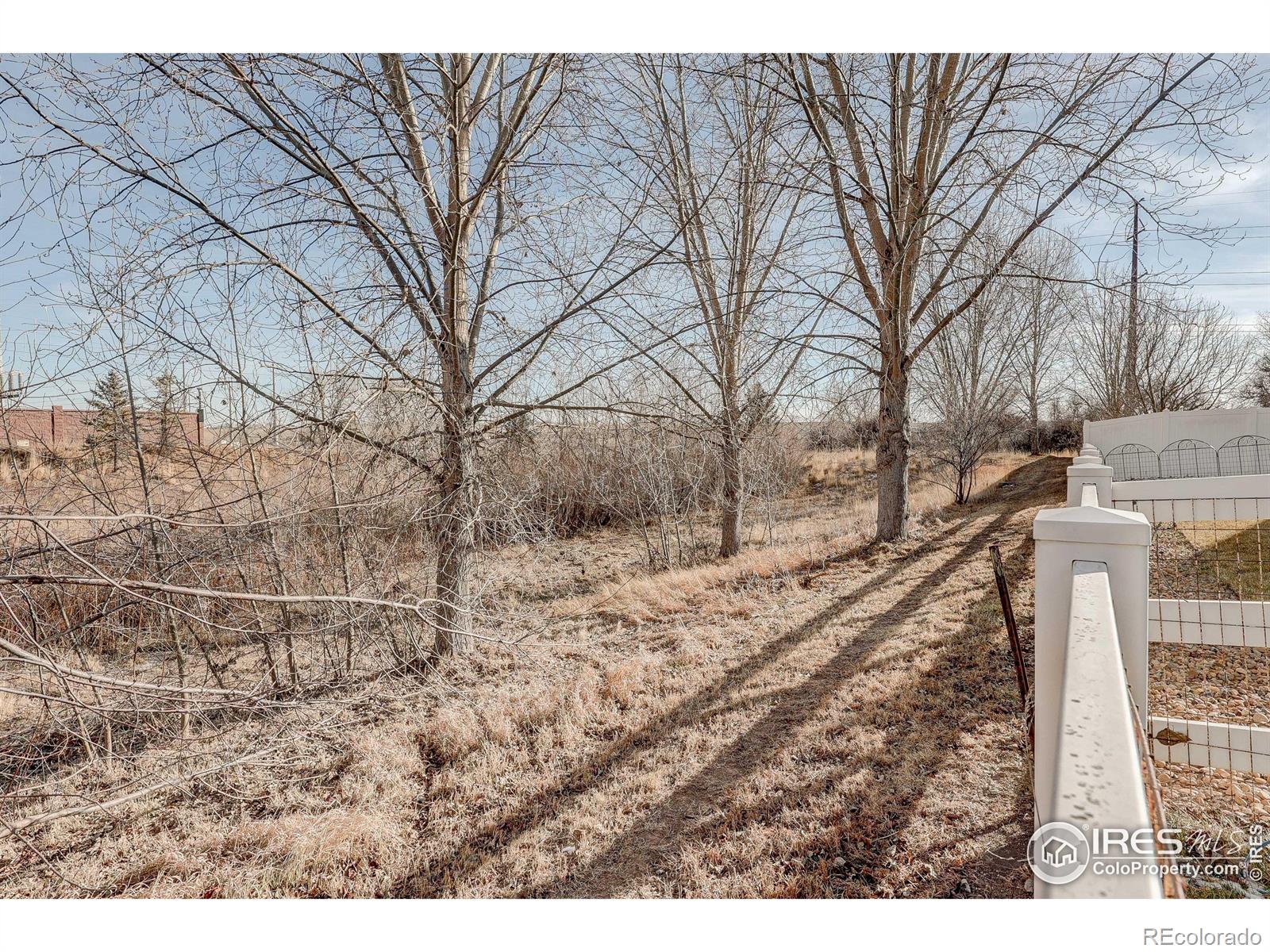 MLS Image #31 for 2134  sandhill crane circle,loveland, Colorado
