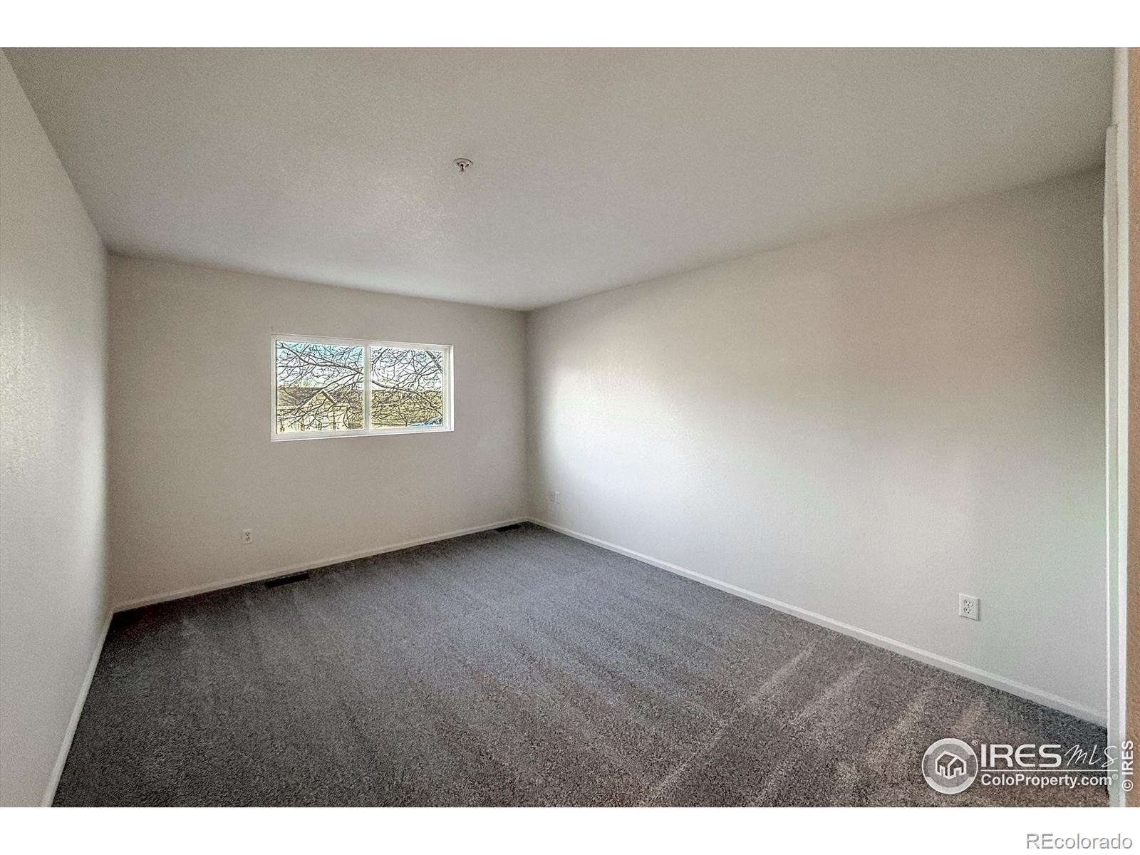 MLS Image #14 for 1601  great western drive,longmont, Colorado