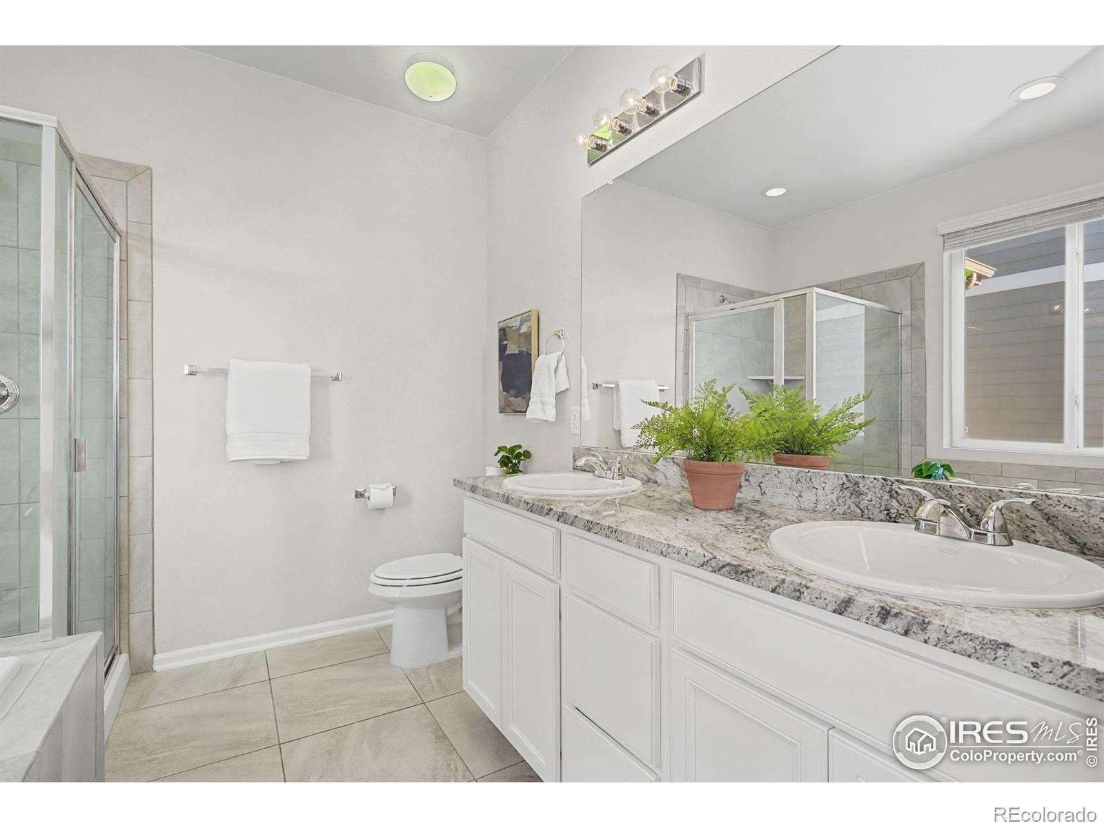 MLS Image #11 for 1833  wyatt drive,windsor, Colorado