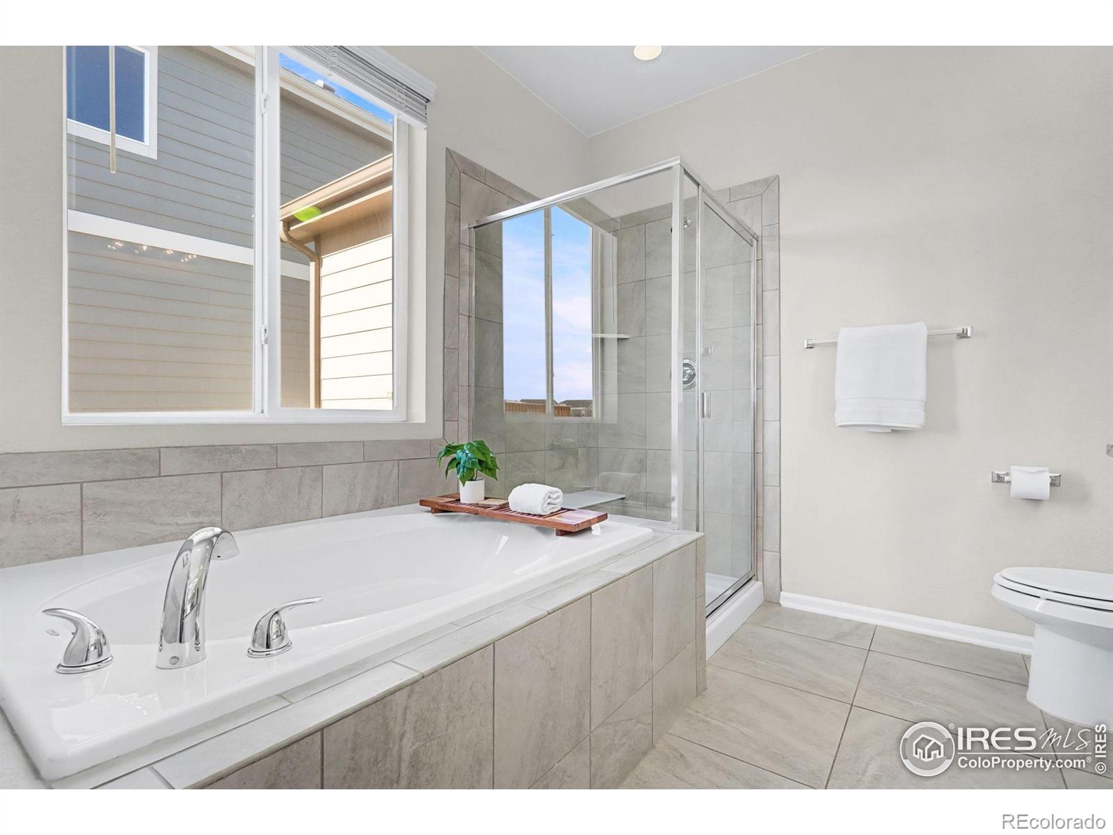 MLS Image #12 for 1833  wyatt drive,windsor, Colorado