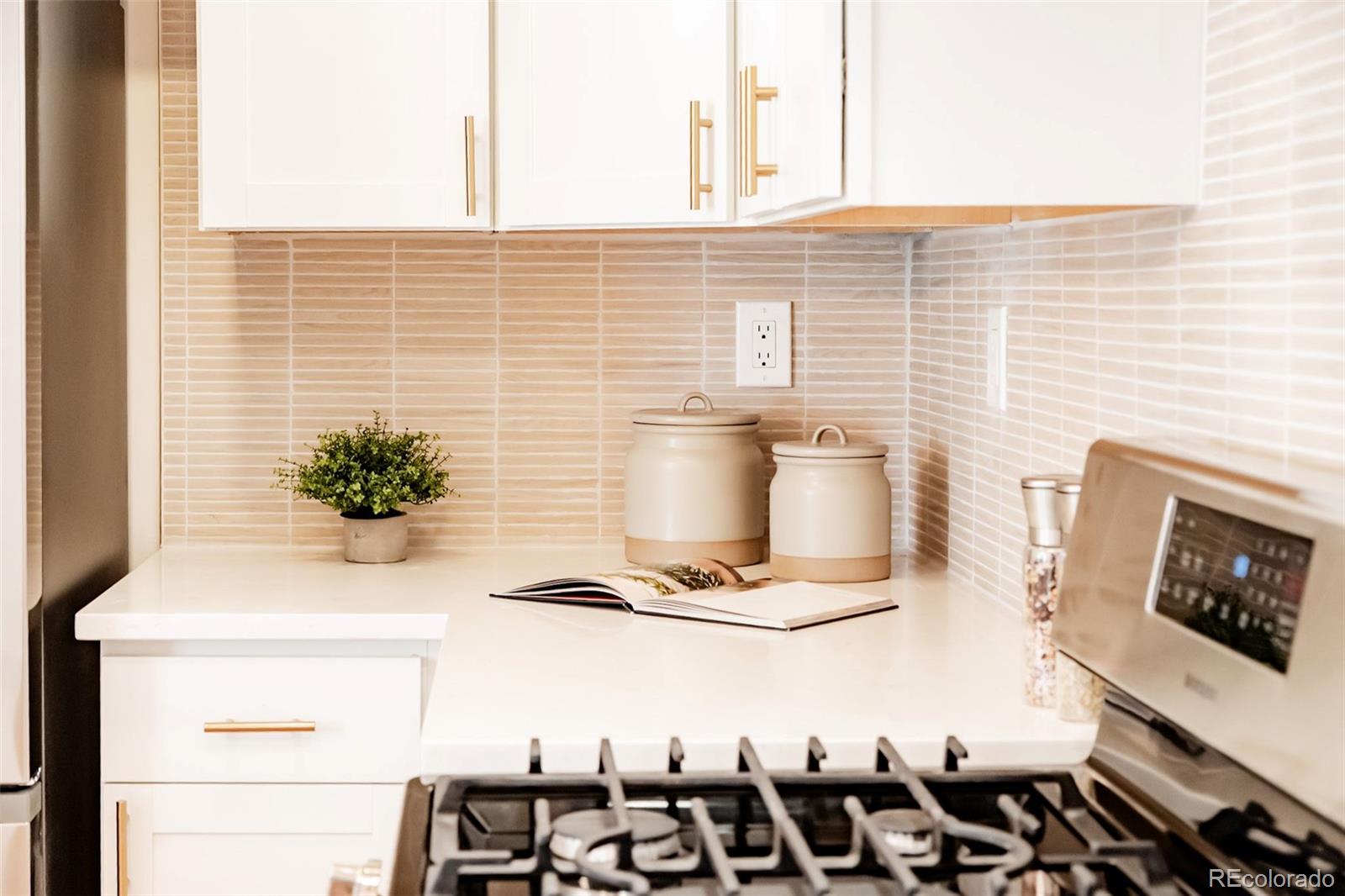 MLS Image #13 for 1352 s quieto court,denver, Colorado