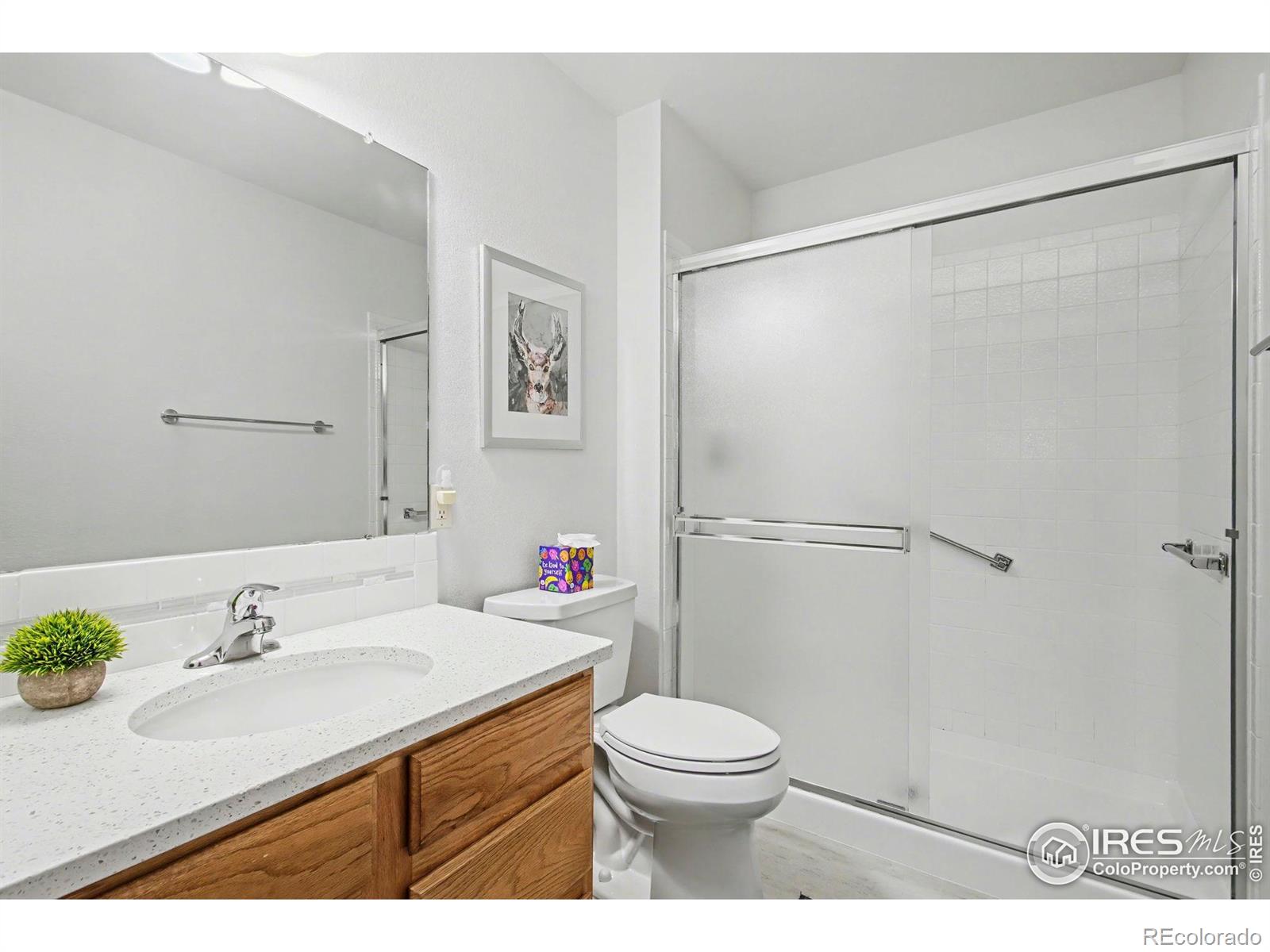 MLS Image #19 for 3400  laredo lane,fort collins, Colorado
