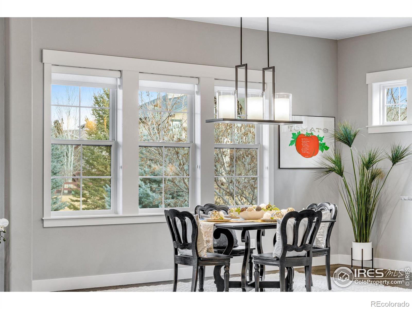 MLS Image #19 for 3970  portrush lane,timnath, Colorado