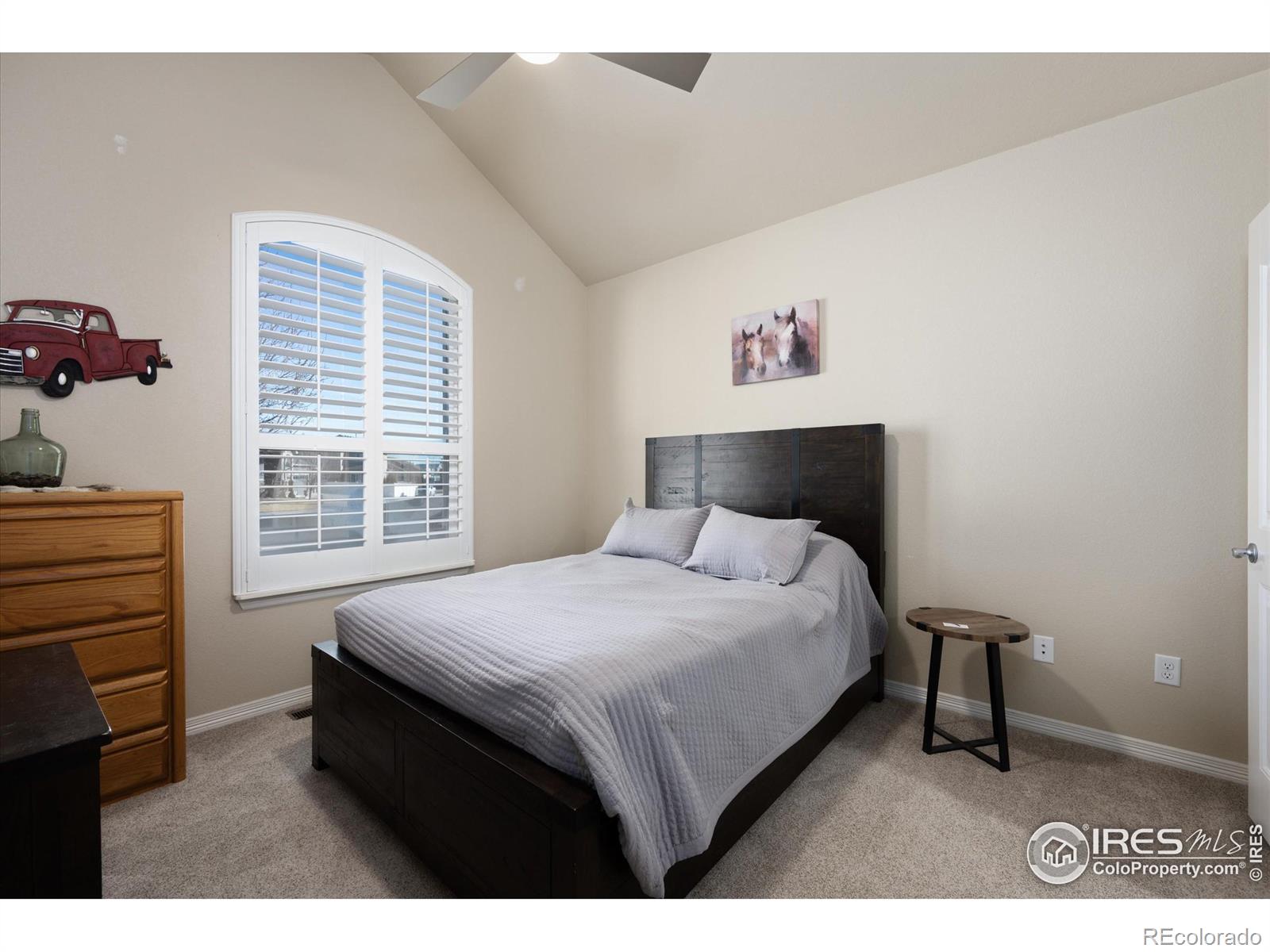 MLS Image #20 for 355  antora court,windsor, Colorado