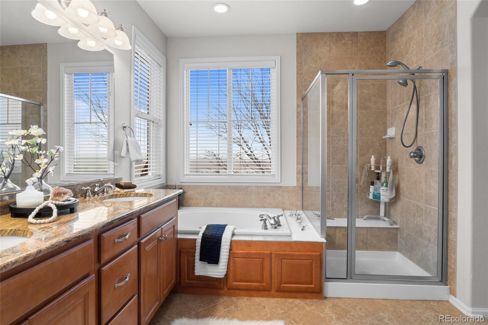 MLS Image #19 for 6558  san miguel court,castle rock, Colorado