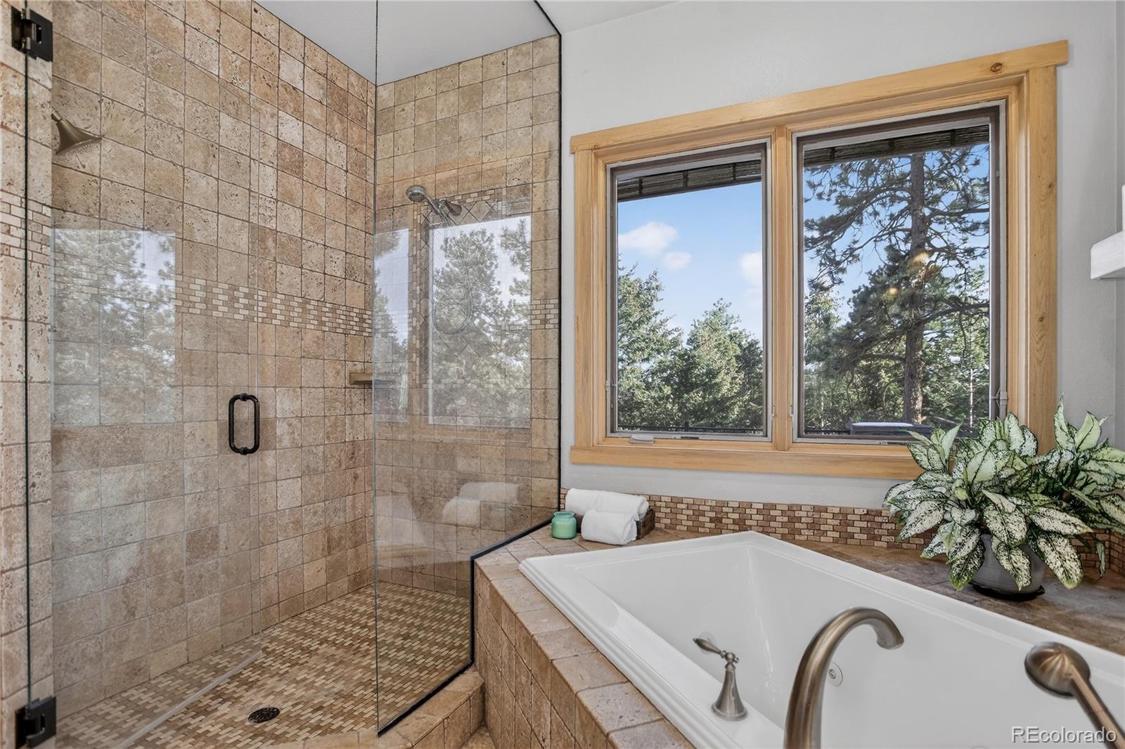 MLS Image #26 for 21965  high springs trail,morrison, Colorado