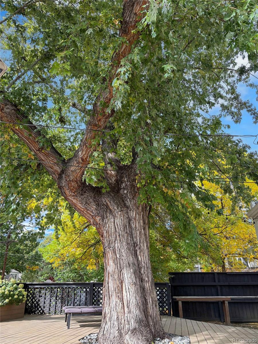 MLS Image #42 for 1001 s elizabeth street,denver, Colorado