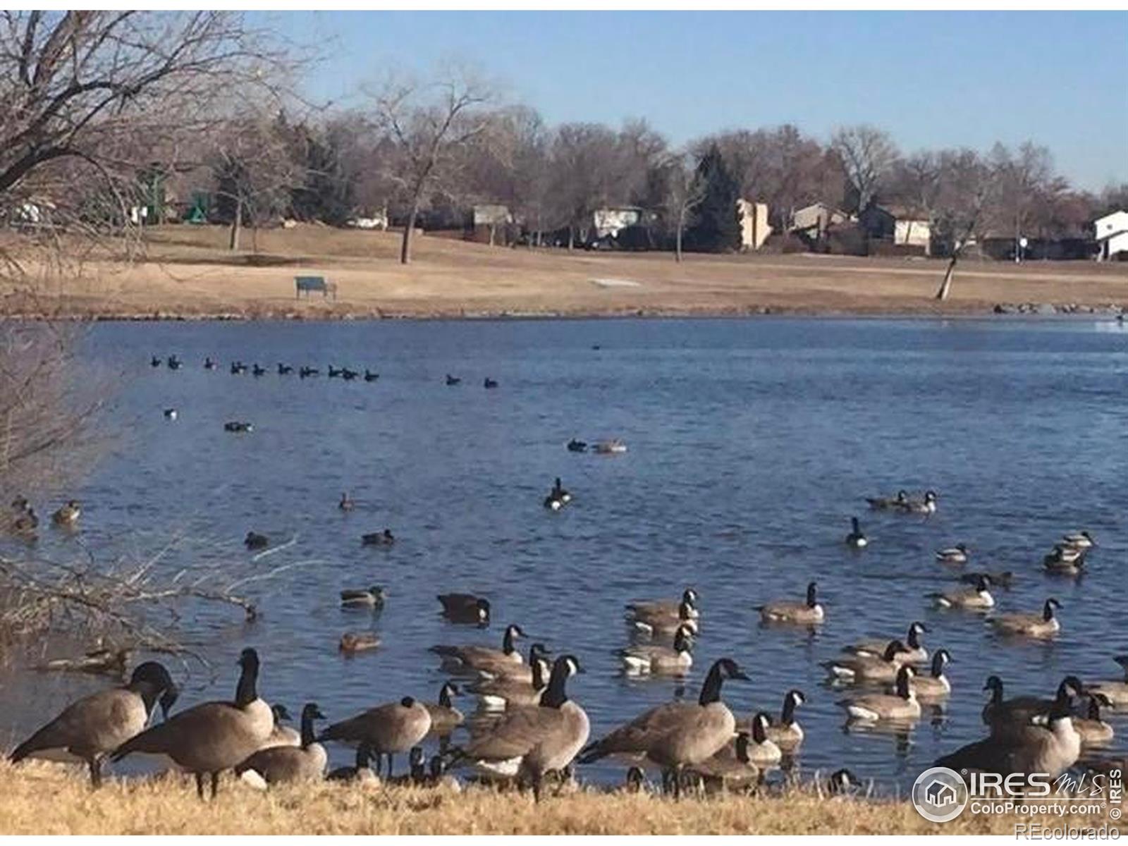 MLS Image #38 for 7624  gray way,arvada, Colorado