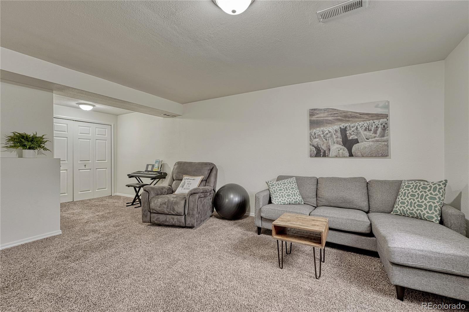 MLS Image #22 for 2935  rolling wood loop,colorado springs, Colorado
