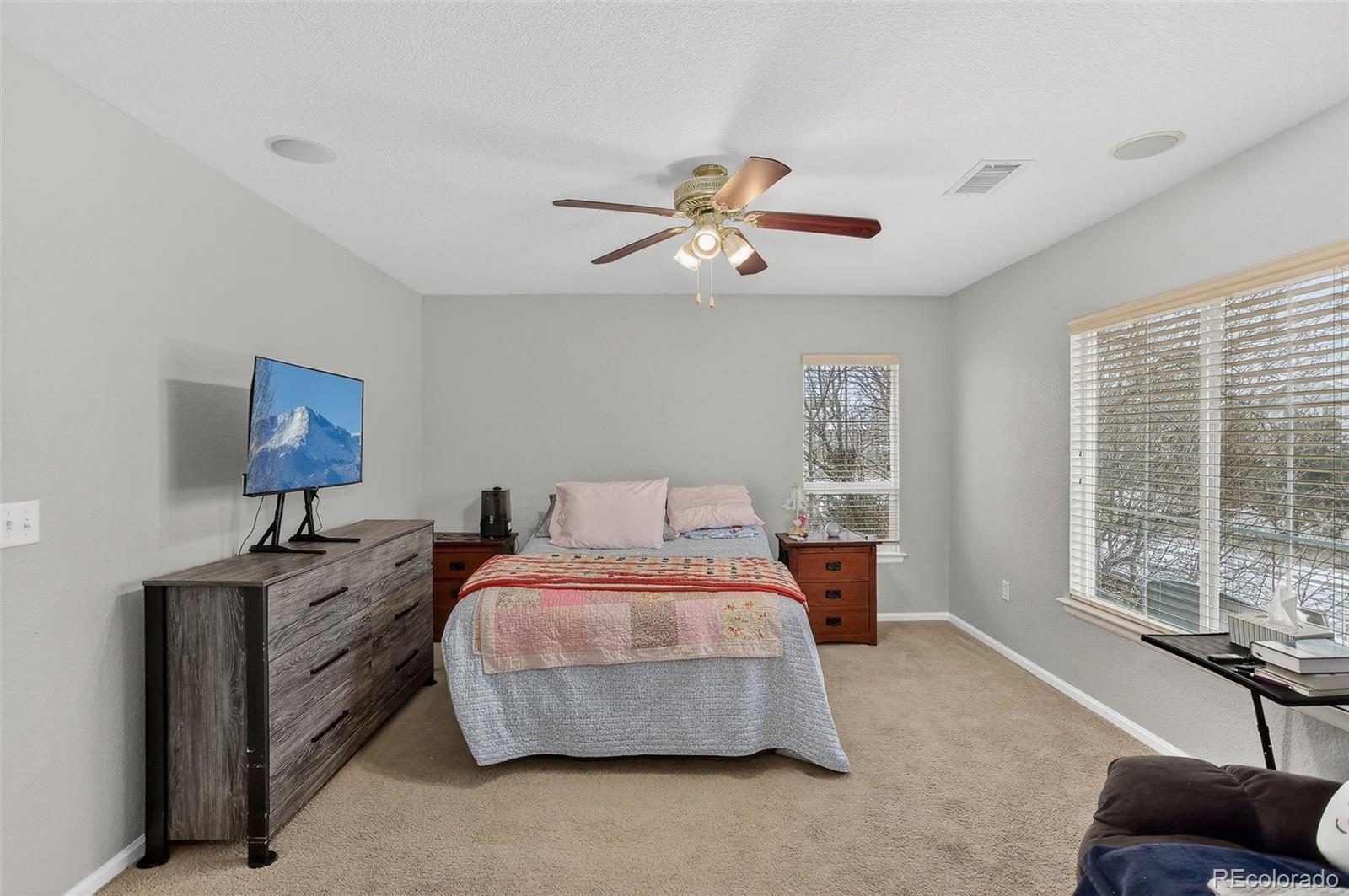 MLS Image #25 for 167  whitehaven circle ,highlands ranch, Colorado