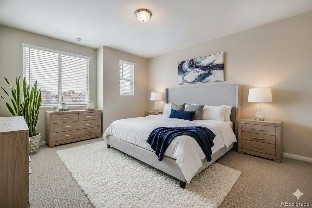 MLS Image #14 for 8307  mount kataka street ,littleton, Colorado