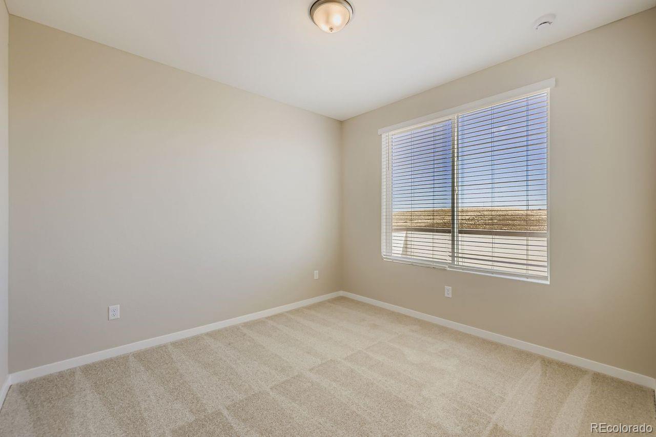 MLS Image #22 for 8307  mount kataka street ,littleton, Colorado