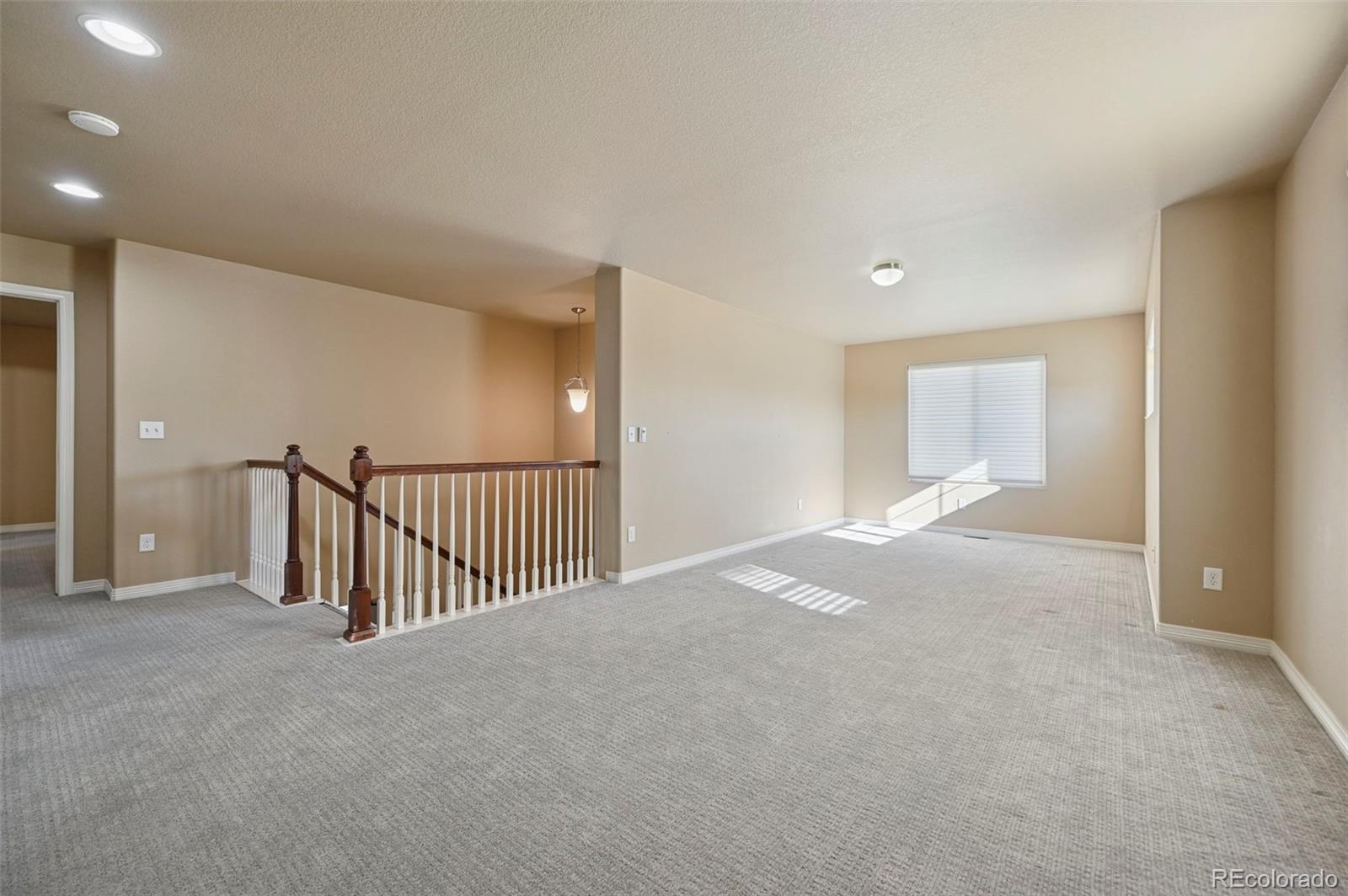 MLS Image #19 for 7344  big prairie court,colorado springs, Colorado