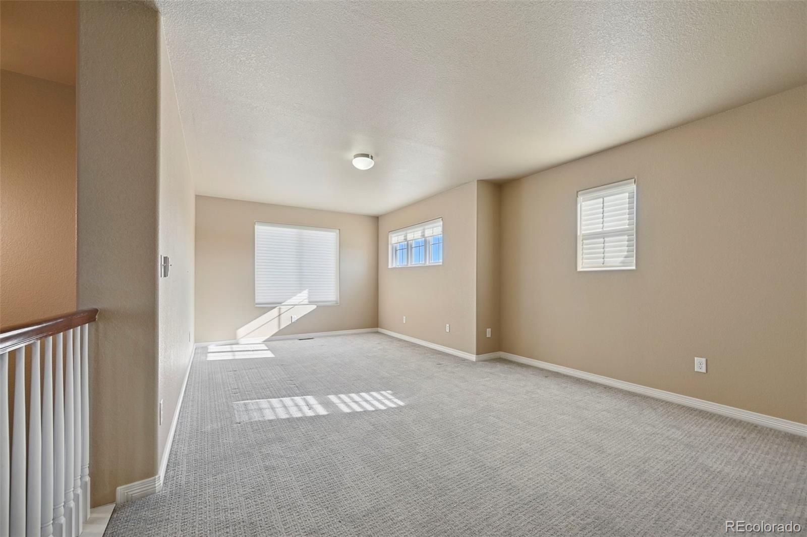 MLS Image #21 for 7344  big prairie court,colorado springs, Colorado