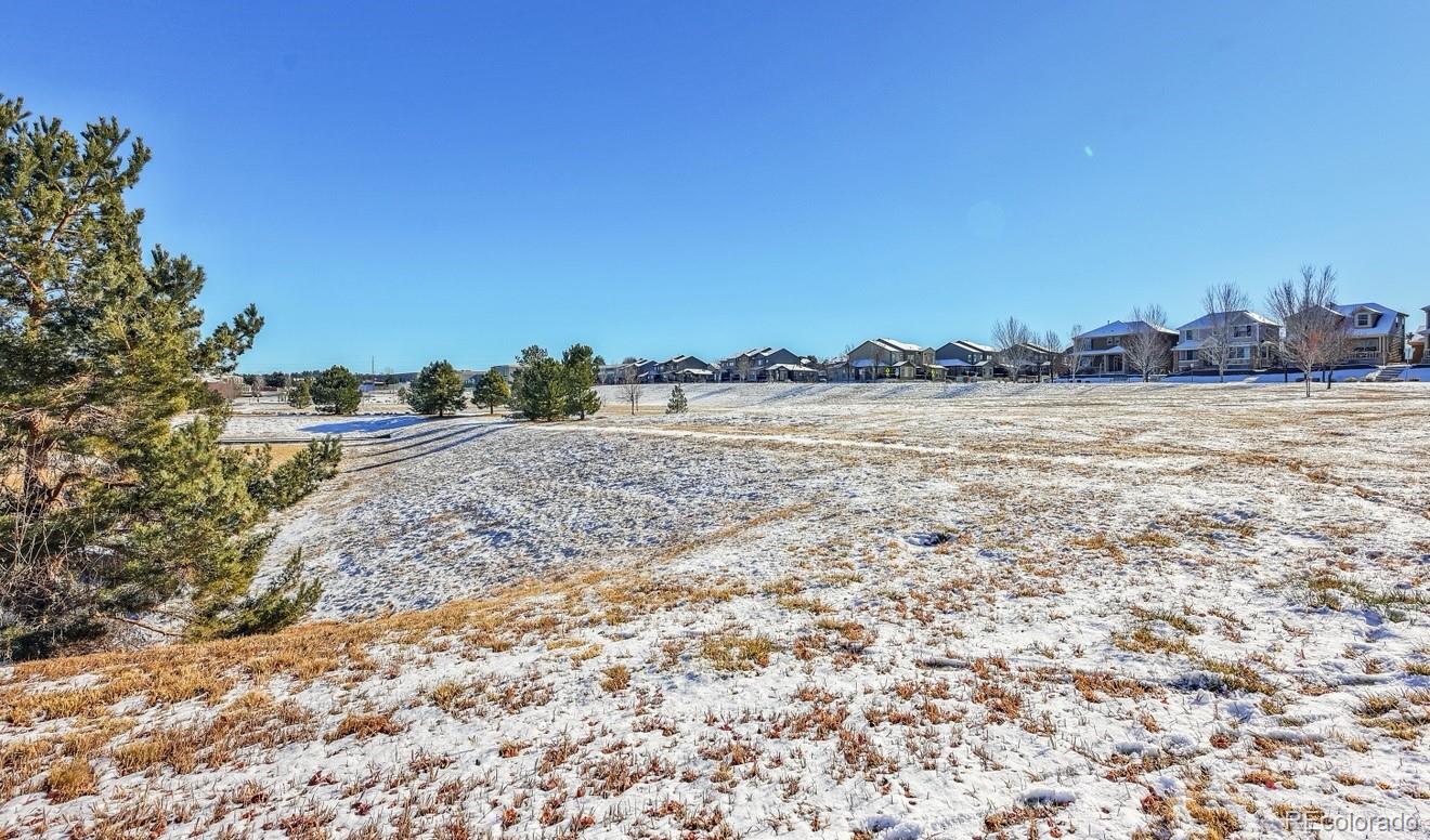 MLS Image #47 for 11641  colony loop,parker, Colorado