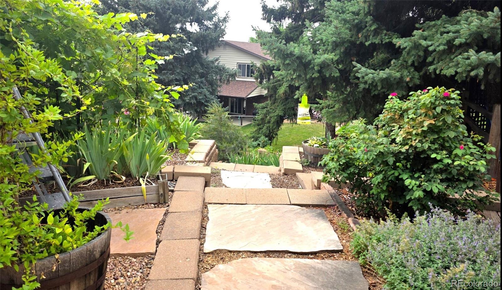 MLS Image #42 for 1868 s beech street,lakewood, Colorado