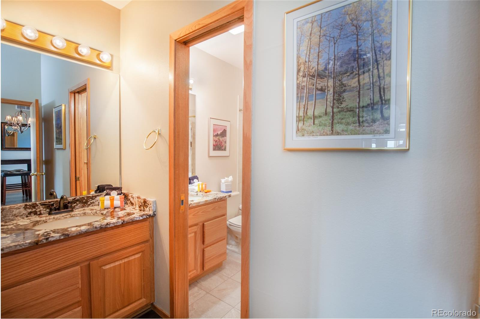 MLS Image #16 for 1660  lakeview terrace,frisco, Colorado