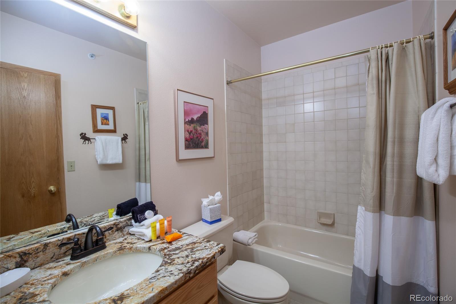 MLS Image #18 for 1660  lakeview terrace,frisco, Colorado