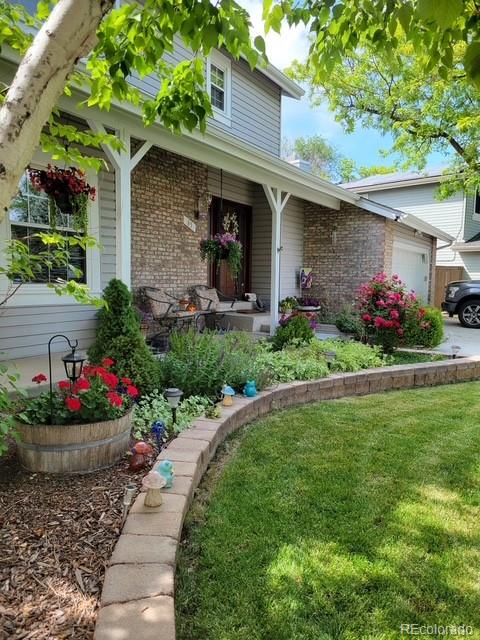 MLS Image #2 for 85  prairie ridge road,highlands ranch, Colorado