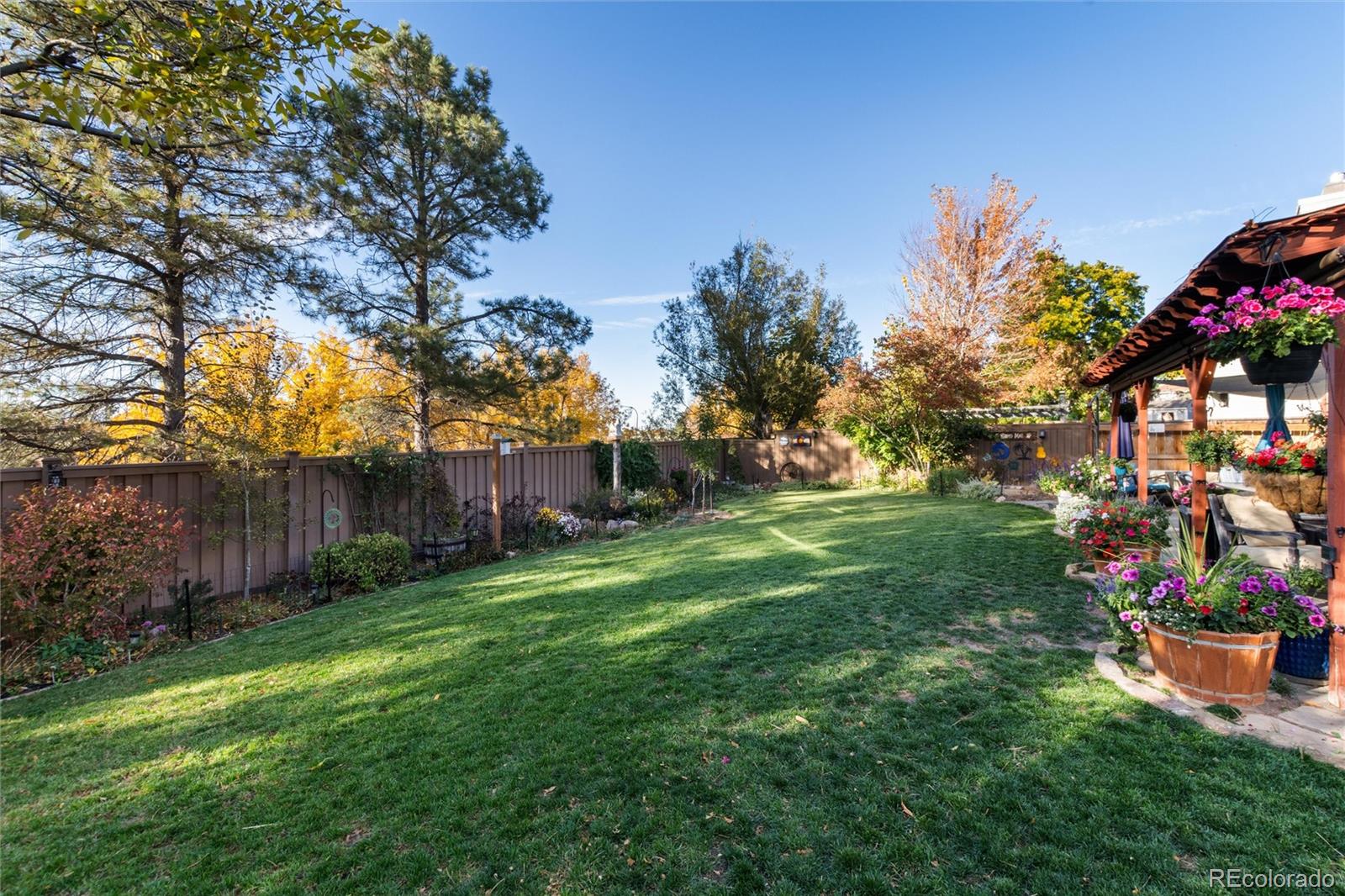 MLS Image #42 for 85  prairie ridge road,highlands ranch, Colorado