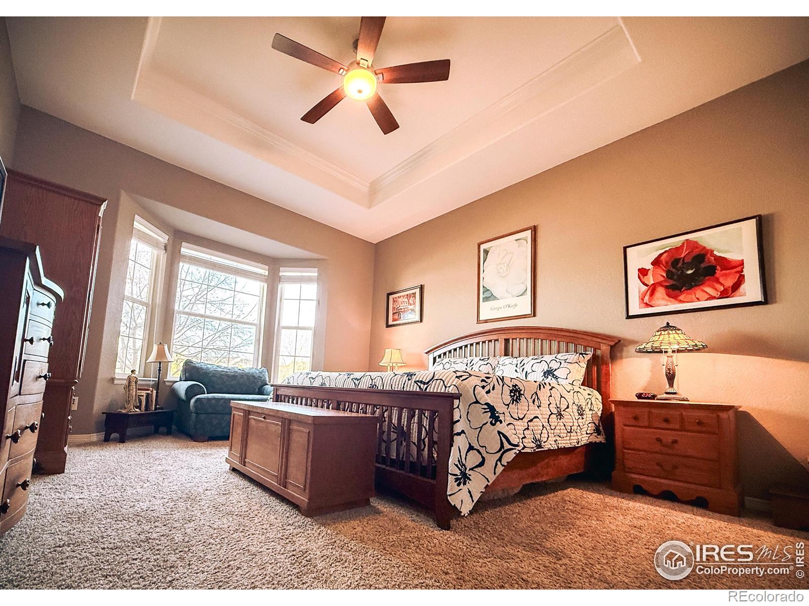 MLS Image #20 for 2083  vineyard drive,windsor, Colorado