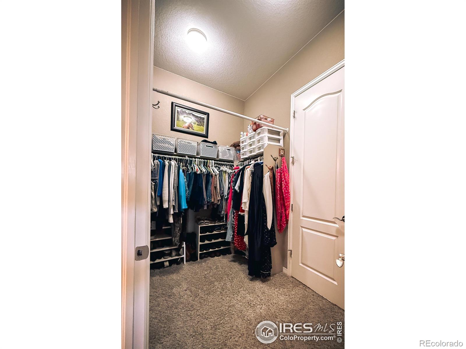 MLS Image #24 for 2083  vineyard drive,windsor, Colorado