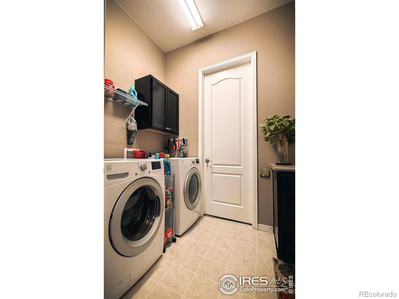 MLS Image #26 for 2083  vineyard drive,windsor, Colorado