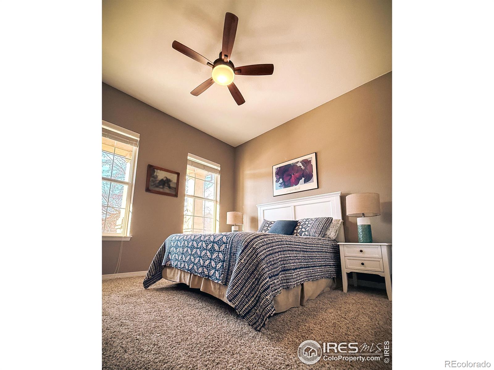 MLS Image #6 for 2083  vineyard drive,windsor, Colorado