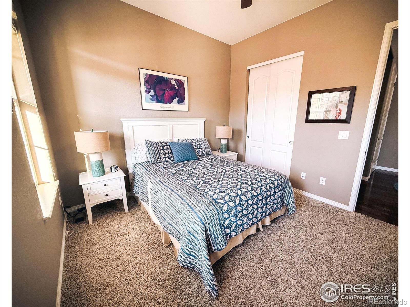 MLS Image #7 for 2083  vineyard drive,windsor, Colorado