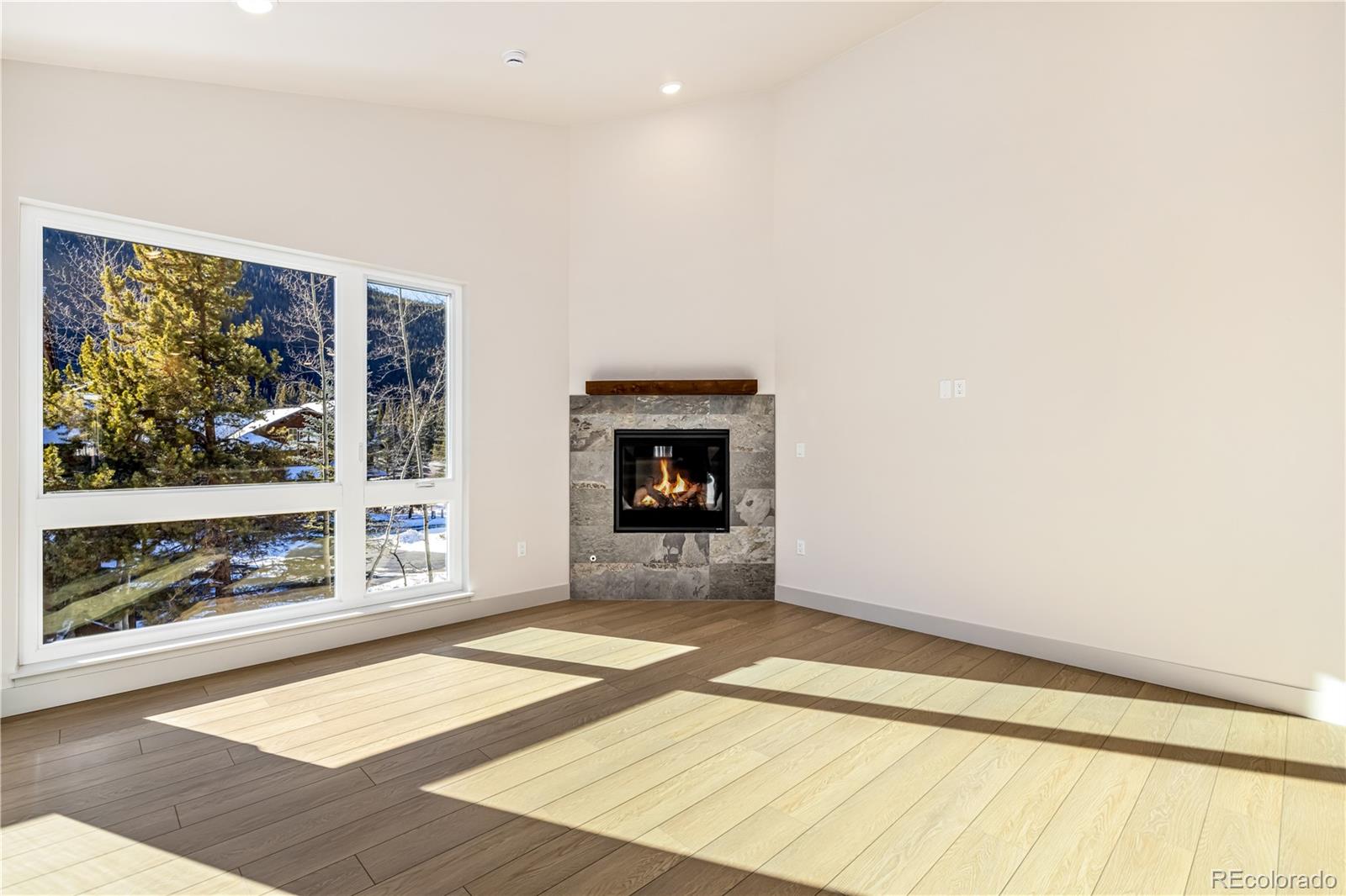 MLS Image #2 for 628  montezuma road,keystone, Colorado