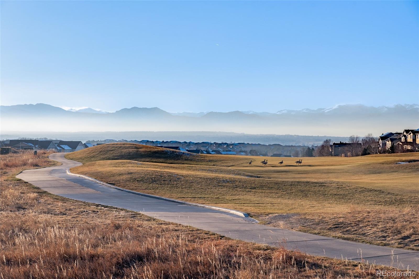 MLS Image #46 for 2257  dogwood drive,erie, Colorado